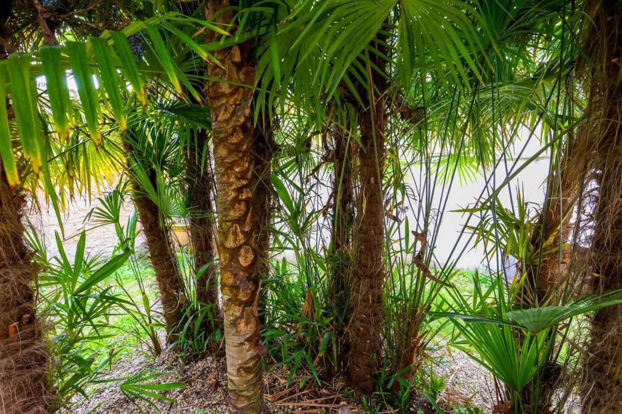 Le Cordon Bleu # Vieux-Cognac # Jardin Lägenhet Exteriör bild